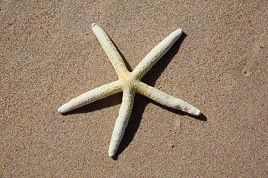 《异形：火力小队》扩展包“病原体”公布 8＆31推出